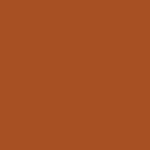 Bear/Orange
